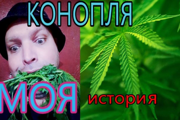 Магазины наркотиков