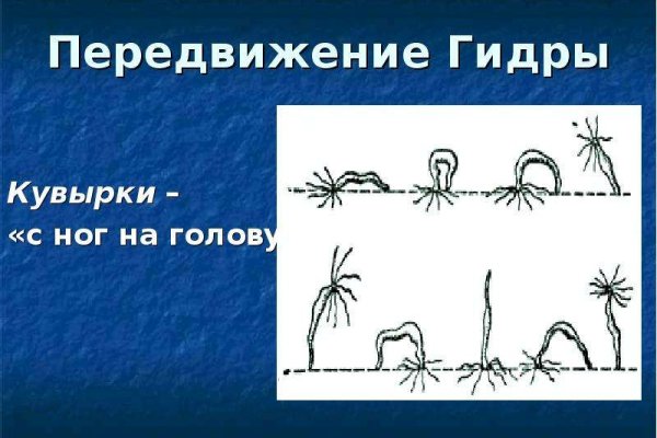 Kra44.cc Вход на сайт главная страница