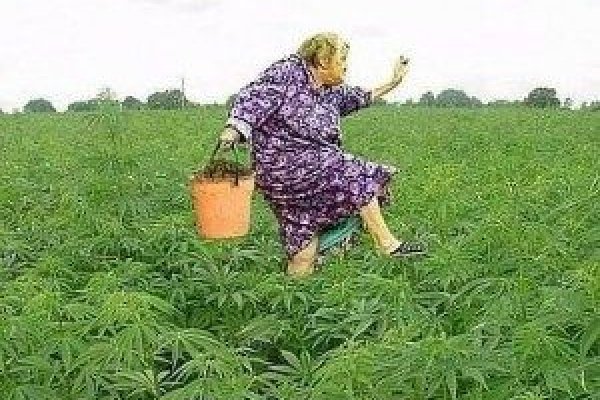 Магазин наркоты