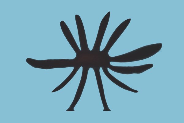 Kraken darknet kraken darknet 2n com