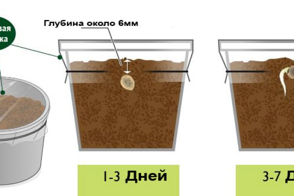 Доступ кракен