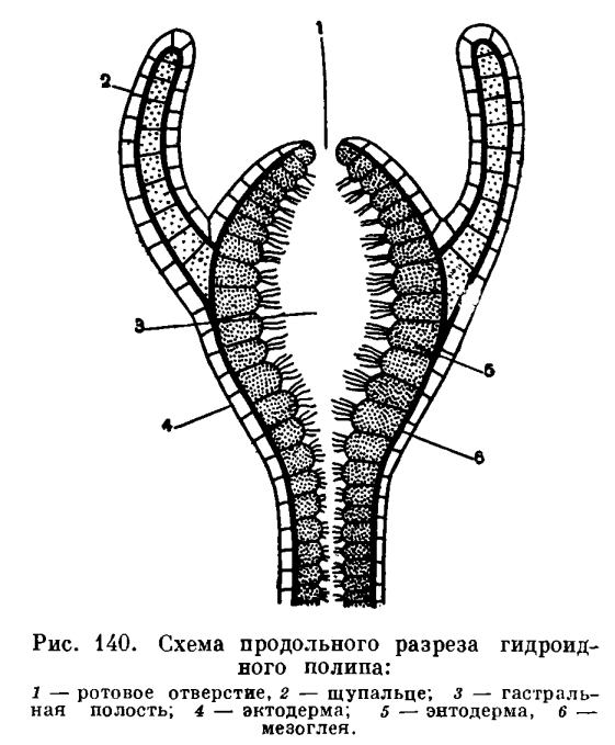 Кракен сайт 1kraken me вход