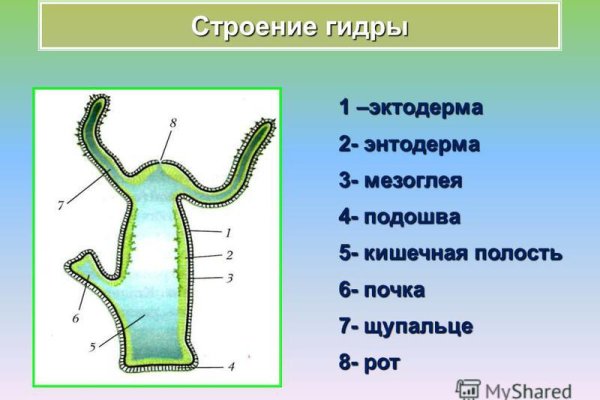 Kraken зеркало krakens13 at