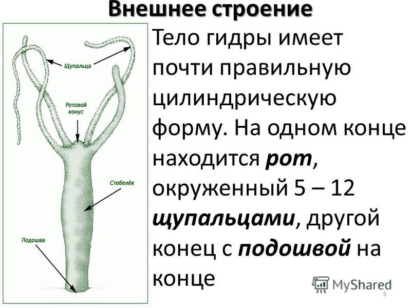 2 krn